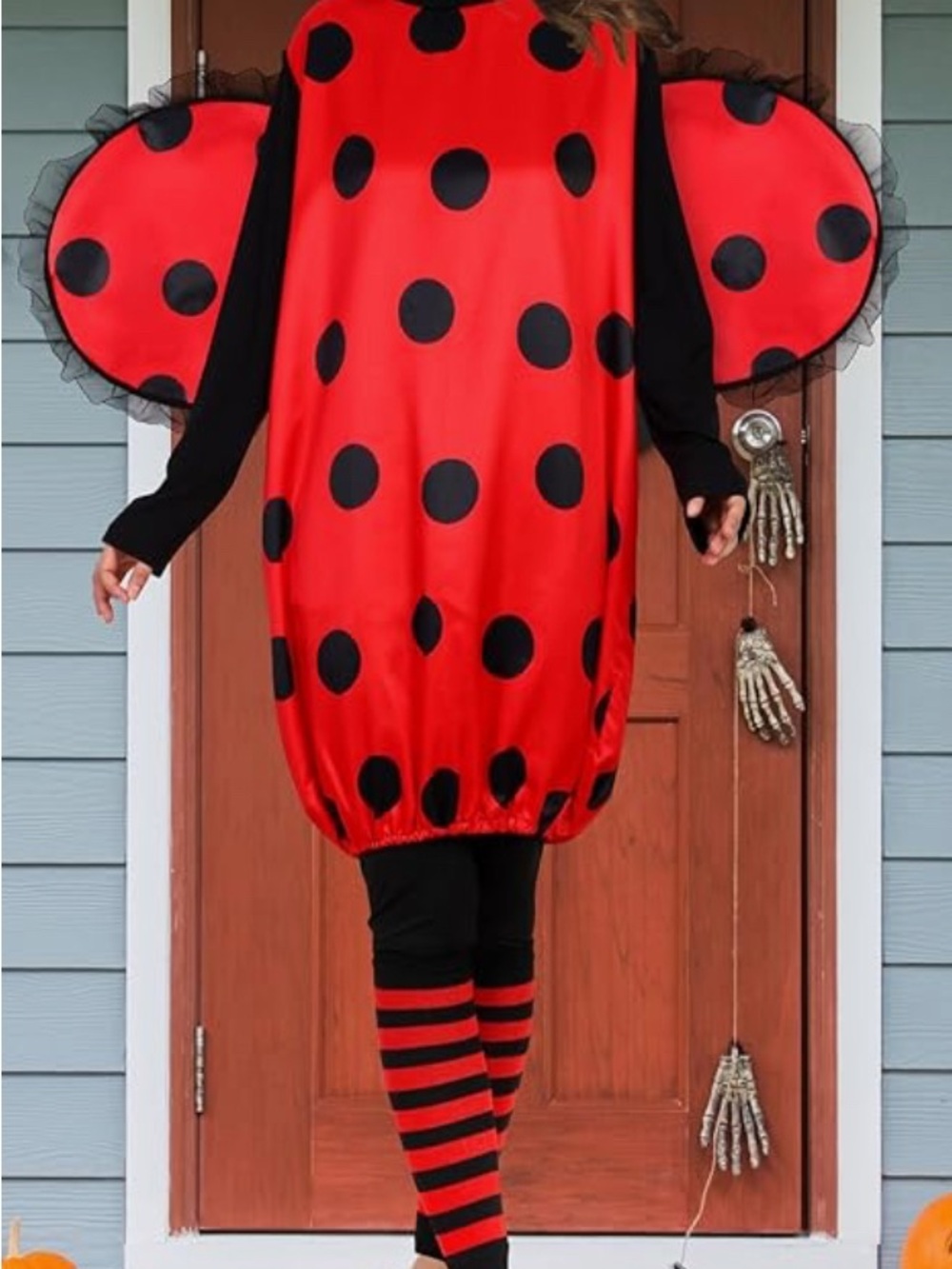 Classic  Ladybug Costume 5 piece in Red and Black